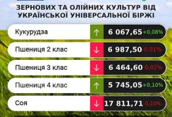 Минулого тижня ринок зернових та олійних залишався стабільним, – аналітики