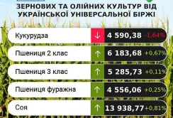 Виробники олійних культур очікують зростання цін