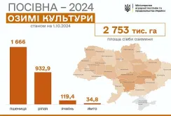 Осіння посівна 2024: засіяли вже 2,7 млн га озимих