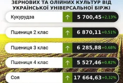 На ринку зернових та олійних очікується незначна тенденція до зниження цін, – аналітики