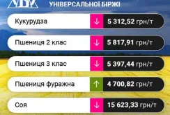 Проміжні підсумки цінових індикативів 28-31 серпня