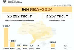 Жнива 2024: намолочено понад 28 млн тонн зернових та олійних