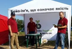 Bejo створила гібрид насіння картоплі