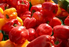 Польща готова закуповувати український перець