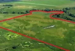 Внаслідок перевищення службових повноважень працівником Держгеокадастру держава втратила 2 га землі