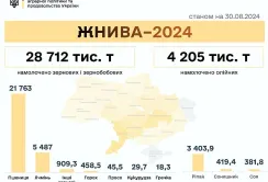В Україні зібрали майже 33 млн тонн нового врожаю