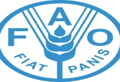 FAO підтримала прийняття нового глобального стандарту торгівлі