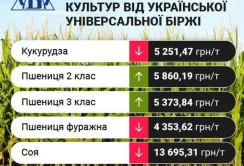 Цінові індикативи зернових та олійних за 4-10 вересня