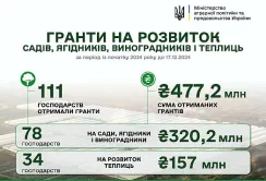 З початку року на розвиток садів і теплиць уряд виплатив понад 477 млн грн