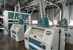 На Черкащині будується новий борошномельний завод потужністю 120 тонн на добу