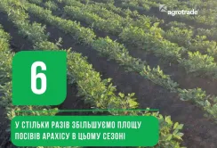 Група АГРОТРЕЙД збільшує площі посіву арахісу в шість разів
