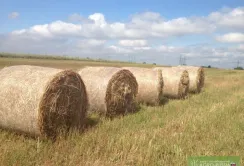 Як правильно складати тюки сіна для збереження якості