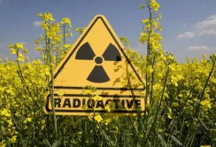 Переселенці з Донбасу заселяють чорнобильську зону і займаються фермерством
