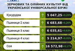 На ринку соняшника можливе спекулятивне зростання цін, – аналітики