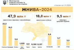 Жнива-2024: намолочено 66,7 млн тонн зернових та олійних