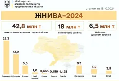 Жнива-2024: зібрано понад 67 млн тонн нового врожаю