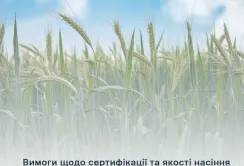 Вимоги щодо сертифікації та якості насіння