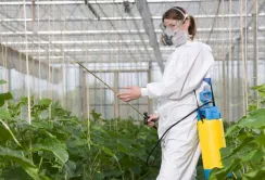 BASF и "ЗМ Україна" захистять агрономів при застосуванні ЗЗР