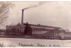В Україні запрацював найстаріший цукрозавод