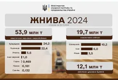 Жнива 2024: зібрано 76,3 млн тонн зернових і олійних