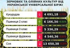 Трейдери прогнозують зростання цін на пшеницю