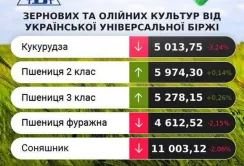 Проміжні підсумки цінових індикативів за 9-12 жовтня