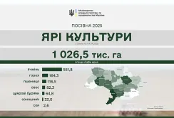Весняна посівна: засіяно 926 тис. га ярих зернових