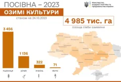 Чотири області закінчили сівбу озимих