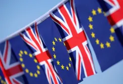 Фермери країн, що розвиваються, втратять 1 млрд фунтів через Brexit