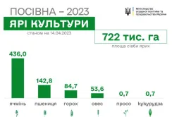 На Сумщині почали сіяти кукурудзу