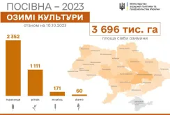 На Сумщині закінчують сіяти озимі зернові