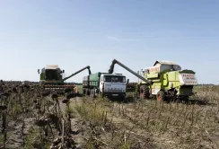 Виробництво валової продукції рослинництва у 2025 році збільшиться на 3,4 % – Юрій Лупенко