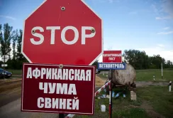 Боротьбу з АЧС посилять законодавчо