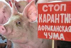 Експерти підтримали концепт держпрограми подолання АЧС в Україні