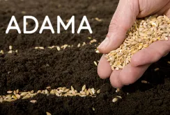 «Адама Україна» у 2017-му виведе на ринок чотири нових препарати