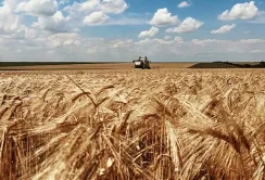 Адаптація українського агросектору до стандартів ЄС створить умови для виходу на нові ринки, – Денис Марчук