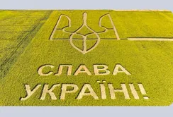 В Україні встановлять новий аграрний рекорд: найбільший герб та напис "Слава Україні!" на полі соняшнику
