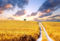 AGRI-Ukraine — $100 млн для українських фермерів