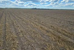Агро-Регіон впроваджує ґрунтозахисні технології для покращення продуктивності полів