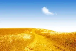 База даних AgroChart буде доступна і для українських аграріїв