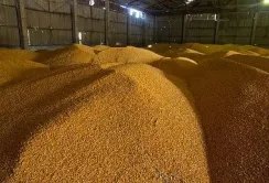Агроекспорт у квітні перевищив показники минулого року