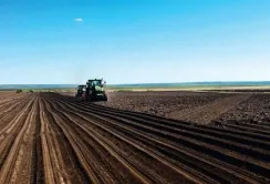 Побоювання, що великі агрохолдинги скуплять переважну частину земель, не справдились, – аналітик