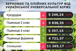 Проміжні підсумки цінових індикативів за 2-5 жовтня