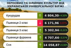 В Україні зросли ціни на кукурудзу та фуражну пшеницю