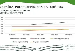 Ціни на зернові у листопаді зростали