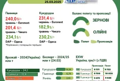 Тренди на ринку зернових та олійних з 17 по 24 березня