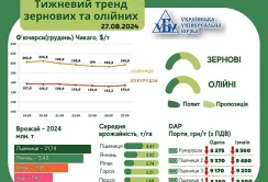 Тижневий тренд ни ринку зернових та олійних культур за 19-27 серпня