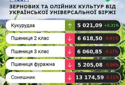 Великі товарні запаси пшениці в ЄС стримують зростання цін