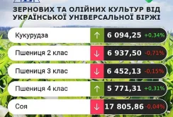 На агроринку України спостерігаються різноспрямовані тенденції: кукурудза зростає, а пшениця падає