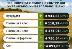 Минулого тижня на ринку зернових та олійних спостерігалось підвищення цін